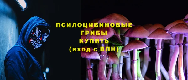 дмт Беломорск