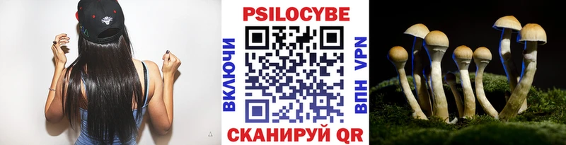 цены   мега зеркало  Галлюциногенные грибы прущие грибы  Верхний Уфалей 